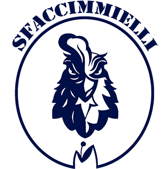 BSG 2019